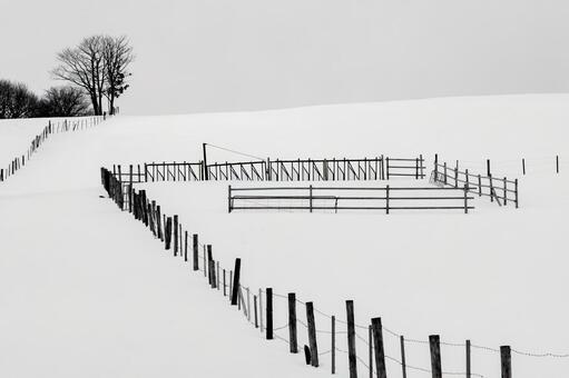 冬の牧柵が描く静寂の線 雪景色,牧場,雪原の写真素材