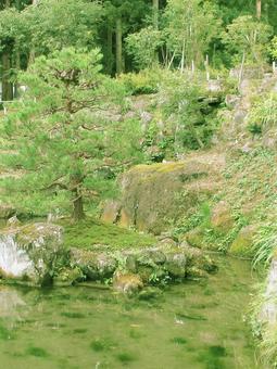 新潟県-旧関山宝蔵院庭園 新潟県-旧関山宝蔵院庭園 旧関山宝蔵院,庭園,国指定名勝の写真素材