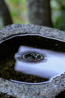 水紋 水紋の写真