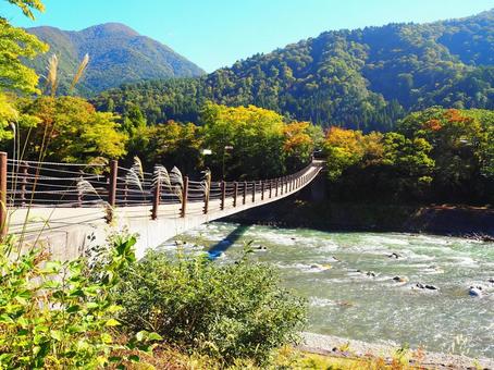 吊り橋 吊り橋の写真