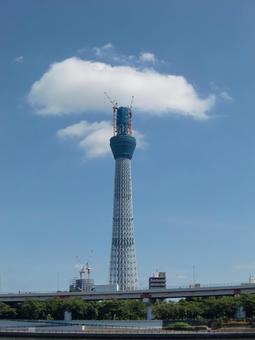 高層建築　タワークレーン タワークレーン,高層,建築の写真素材
