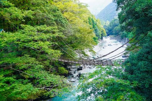 かずら橋 かずら橋の写真