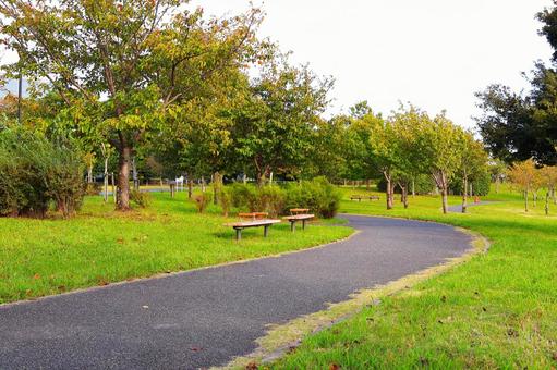 上総更級公園の散歩道「綺麗な四季の路」 上総更級公園の散歩道「綺麗な四季の路」の写真