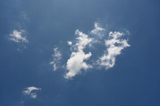 照片, 晴天, 蜘蛛, 雨季？, 