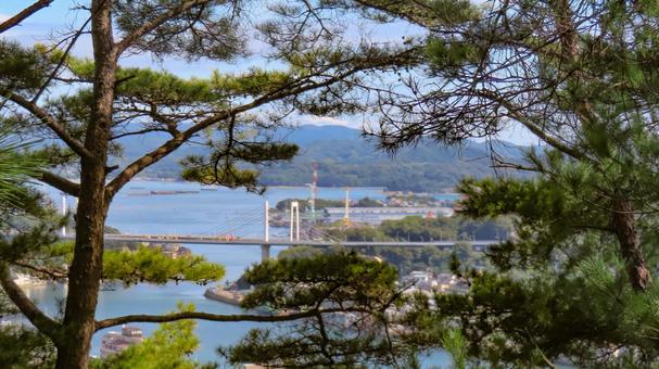 木々の隙間から見る新尾道大橋 新尾道大橋,尾道市,瀬戸内海の写真素材