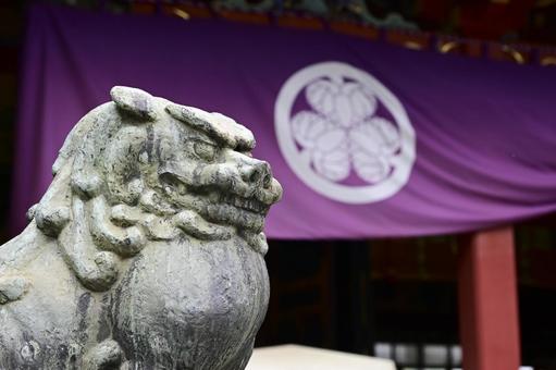 浅草神社の狛犬 浅草神社,浅草,狛犬の写真素材