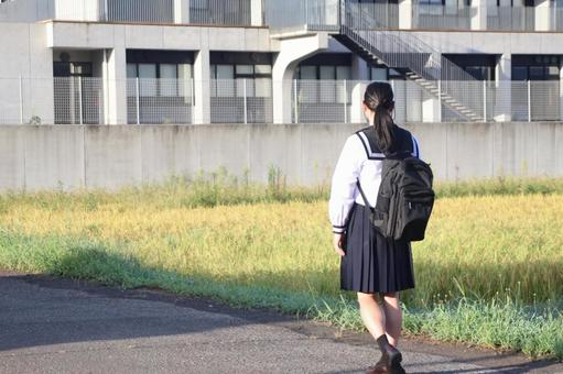独り登校 独り登校の写真