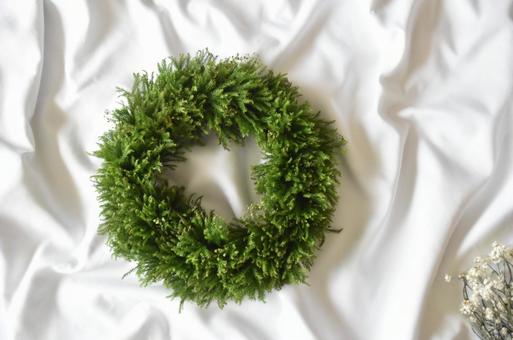 シンプルリース　タチカズラ　 花,生花,リースの写真素材