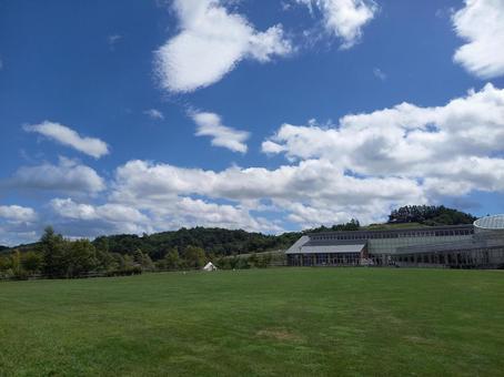 北海道の夏空 北海道の夏空の写真