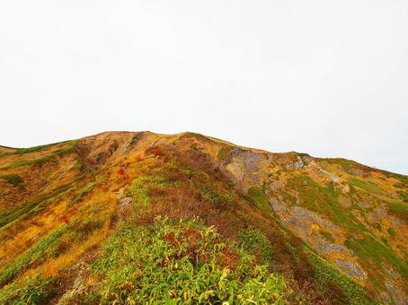 紅葉(越後三山・越後駒ヶ岳) 紅葉(越後三山・越後駒ヶ岳)の写真
