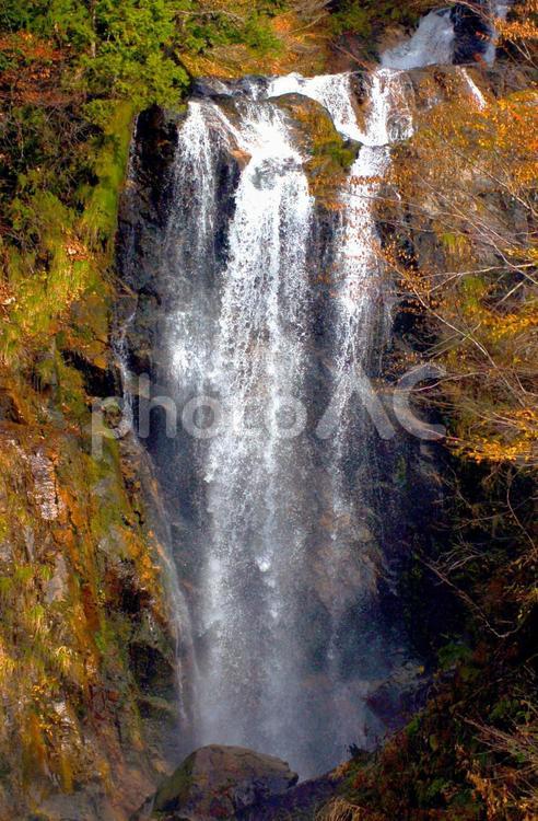 岐阜県　天生の三滝（中滝） 天生の三滝,中滝,滝の写真素材