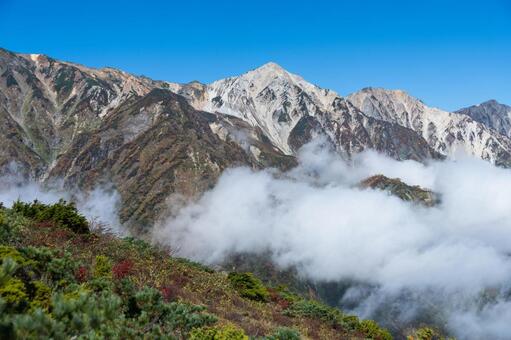八方尾根の紅葉 白馬,八方尾根,長野の写真素材