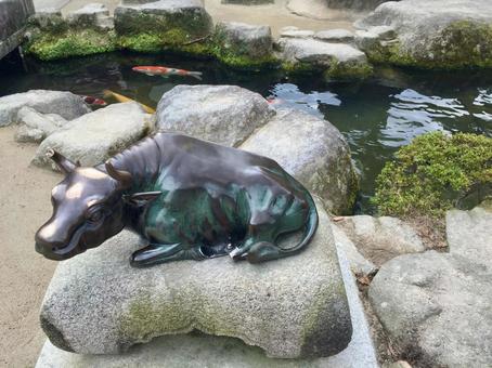 大宰府天満宮の牛の彫像と池 牛,彫像,池の写真素材