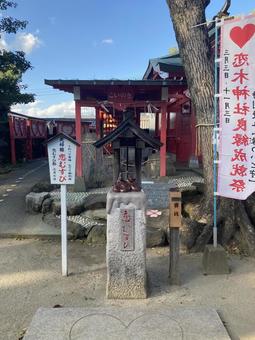 恋木神社・恋むすび 恋木神社,水田天満宮,福岡県筑後市の写真素材