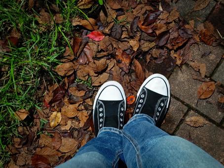 夜の落葉、スニーカー 落ち葉,スニーカー,デニムの写真素材