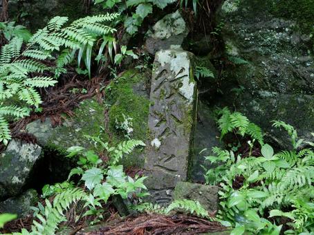 筑波山の登山道にある古い石碑 筑波山の登山道にある古い石碑 石碑,筑波山,茨城県の写真素材