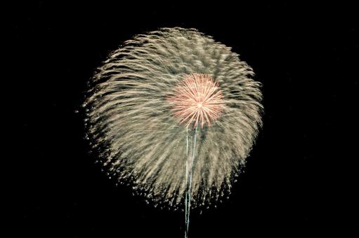 <素材>夏の夜空に打ちあがる花火 <素材>夏の夜空に打ちあがる花火の写真