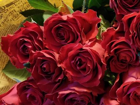 薔薇の花束 薔薇の花束 赤いバラ,薔薇,花束の写真素材