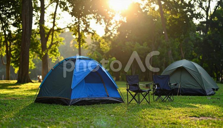 森林と草原の自然の中でテントキャンプ テント,キャンプ,森林の写真素材