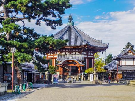 【奈良県】奈良市・興福寺 南円堂 興福,南円堂,寺社仏閣の写真素材