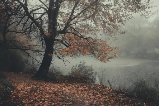 秋の湖畔と紅葉|幻想的な風景 秋の湖畔と紅葉|幻想的な風景の写真