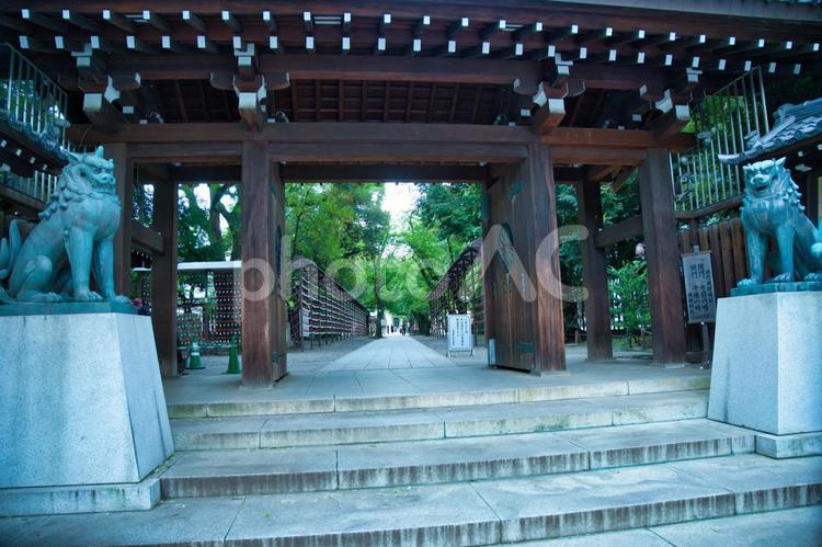 靖国神社の南門　　東京 靖国神社,神社,東京の写真素材