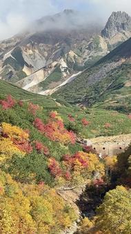 紅葉 紅葉 自然,景色,風景の写真素材