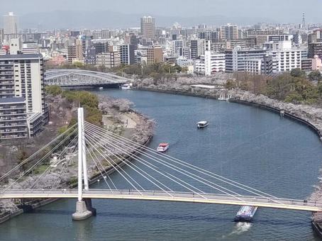 大阪の景色の写真