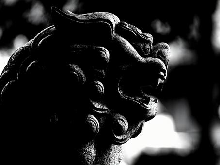 狛犬の顔の写真