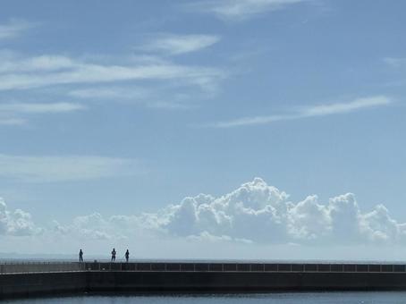 夏の海 夏の海の写真