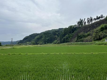 自然風景 自然風景の写真