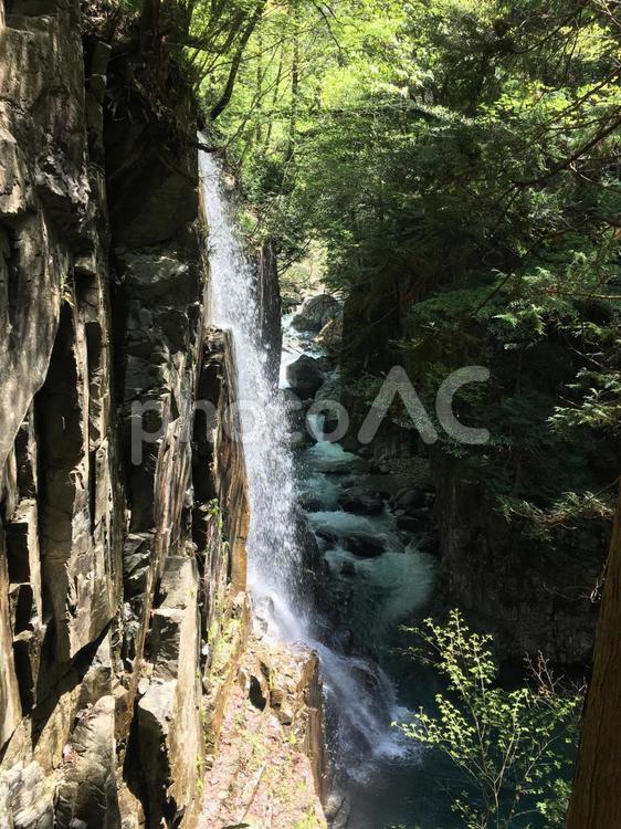 秘境 滝,水域,木材の写真素材