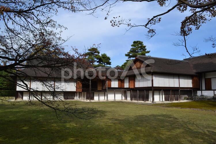 京都　桂離宮　秋 京都,桂離宮,桂の写真素材