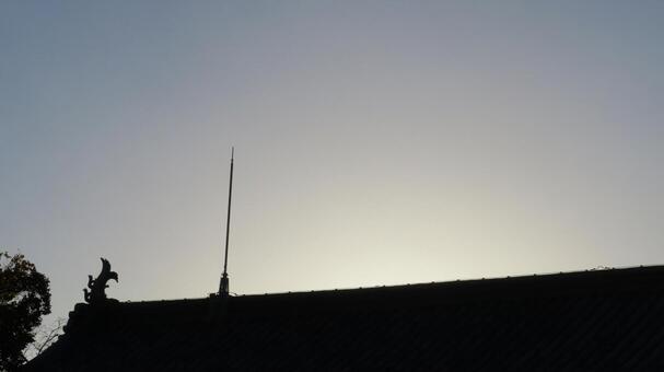 名古屋城　西の丸　正門の屋根と鯱 名古屋城,尾張徳川家,御三家の写真素材