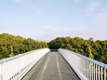 11月の歩道橋にて 歩道橋,陸橋,桃山公園の写真素材