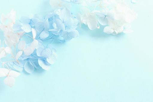 青い花の背景 花,背景,背景素材の写真素材