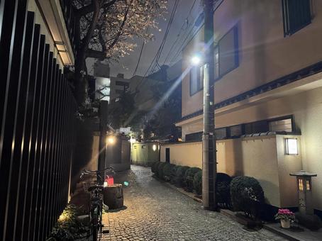夜の神楽坂 夜の神楽坂 神楽坂,新宿,飯田橋の写真素材