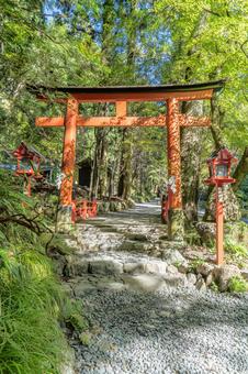 京都 貴船神社 奥宮 大鳥居 京都 貴船神社 奥宮 大鳥居 貴船神社,貴船,神社の写真素材