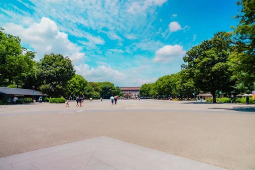 【東京】上野駅の周辺 上野公園 2025 【東京】上野駅の周辺 上野公園 2025の写真