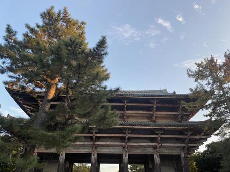 東大寺 東大寺の写真