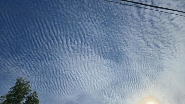うろこ雲 うろこ雲の写真