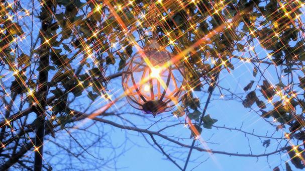 御殿場高原時之栖のイルミネーション イルミネーション,夜景,ライトアップの写真素材