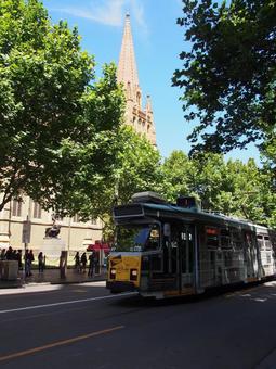 メルボルン トラム オーストラリア,メルボルン,トラムの写真素材