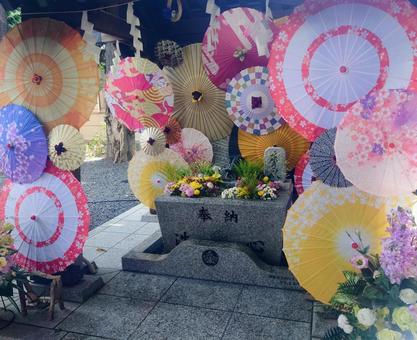 札幌諏訪神社_手水舎 札幌諏訪神社_手水舎 札幌諏訪神社,手水舎,花手水の写真素材