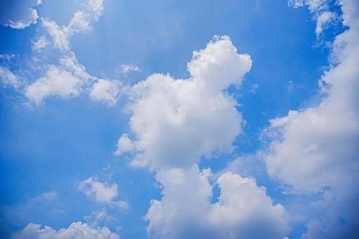 Photo, midsummer, blue sky, white cloud, 