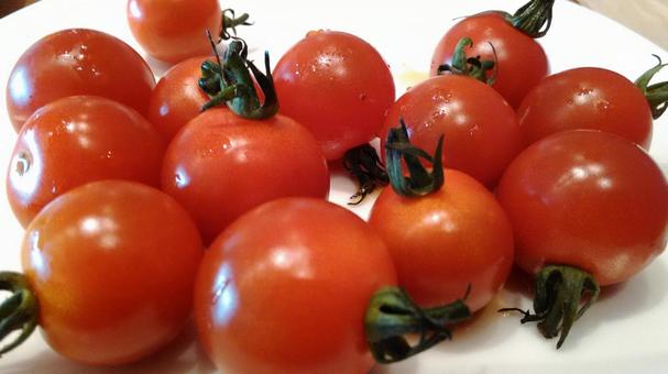 ミニトマト トマト,ミニトマト,白いお皿の写真素材