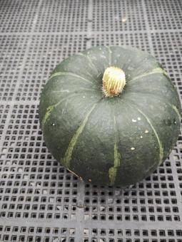 カボチャb カボチャb かぼちゃ,野菜,食べ物の写真素材