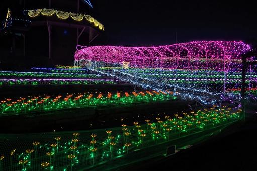 霞ヶ浦クリスマスイルミネーション・土浦市 冬,水郷桜イルミネーション,クリスマスの写真素材