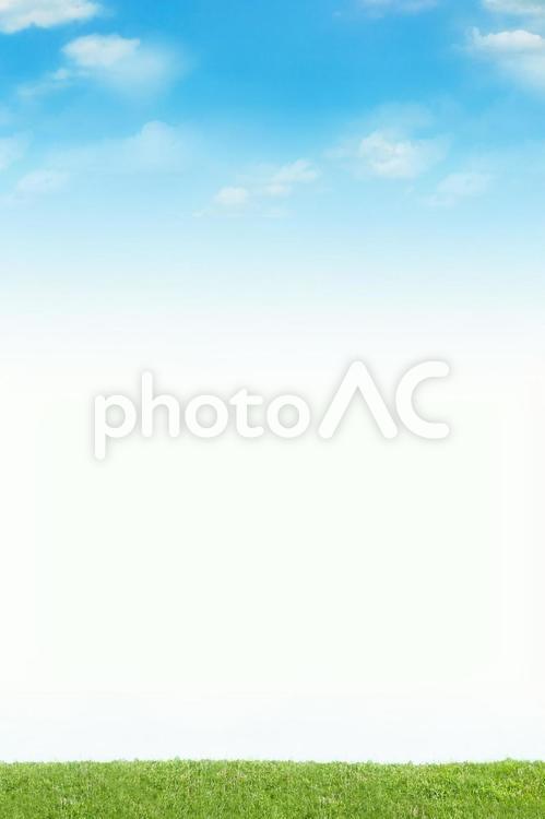 大自然の青い空と緑の芝生 空,青空,芝生の写真素材
