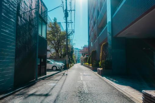 【熊本】熊本市の街並み 【熊本】熊本市の街並み 熊本,白川公園,公園の写真素材